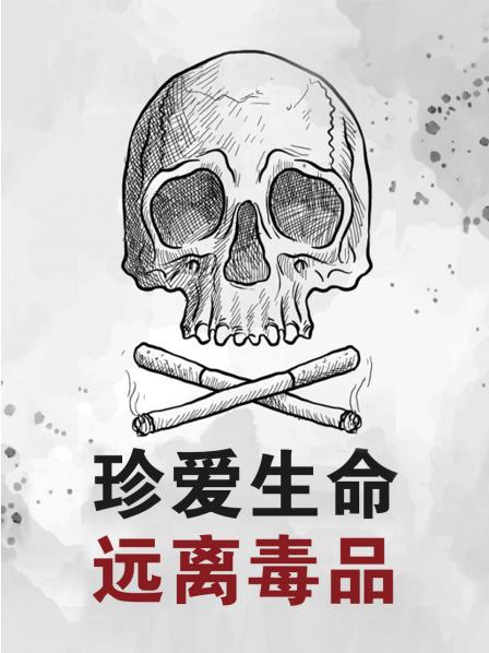 珍爱生命远离毒品(全集)