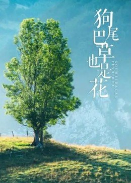 狗尾巴草也是花(全集)