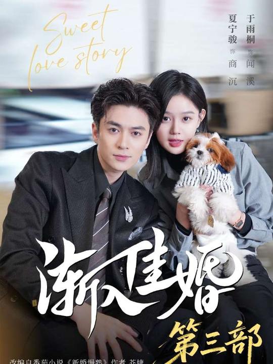 渐入佳婚3