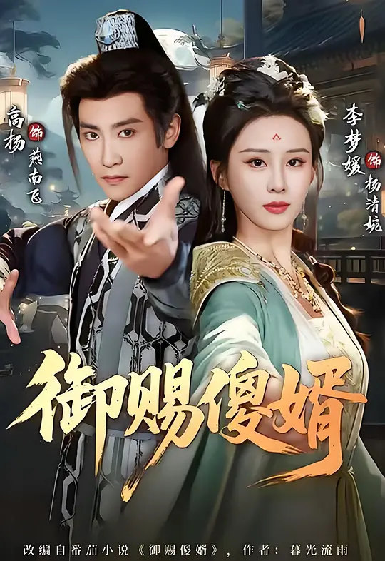 御赐傻婿