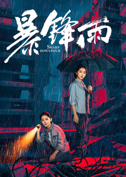 暴锋雨(全集)