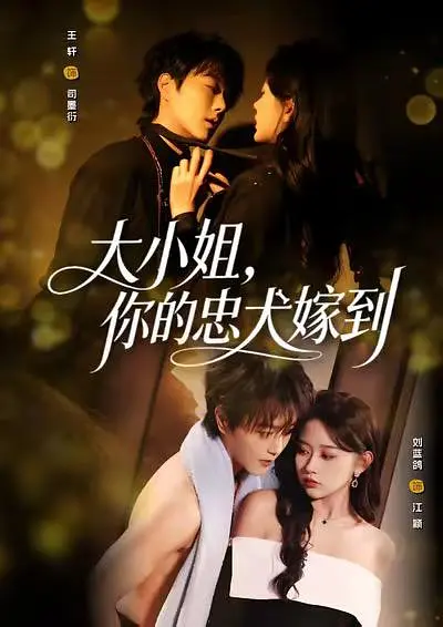 大小姐，你的忠犬嫁到