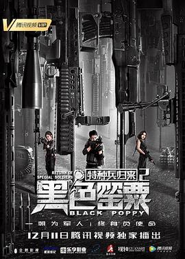 特种兵归来2:黑色罂粟(全集)